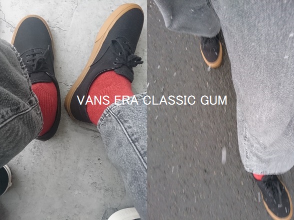 【雪の日】履き続けて4年目の『VANS ERA』を履くblog