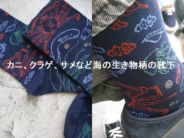 セリアで買ってみた「こんな総柄靴下」【海洋生物】