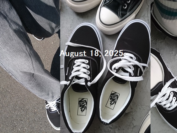 4か月目の「VANS 定番エラ」【履くblog/2025.08】