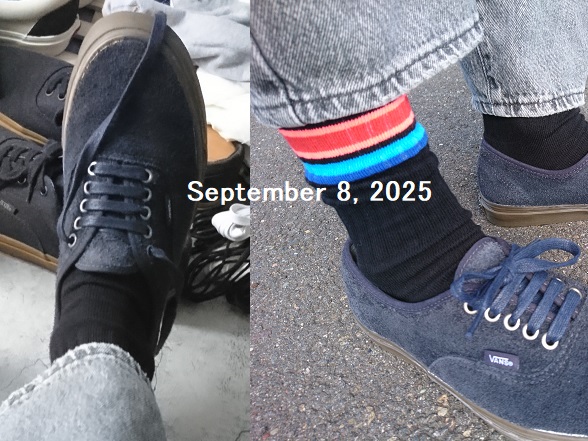 【VANS】AUTHENTIC Hairy Suede【履くblog/2025.09】