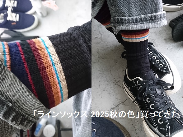 【ファミマ】「2025 秋の色」買ってきた【新色靴下】