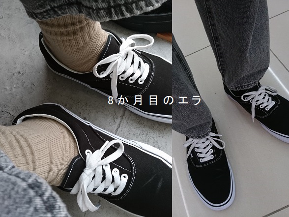 8か月目の「VANS 定番エラ」【履くblog/25.12】