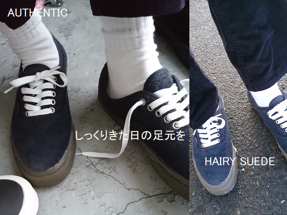 VANS「オーセンティック ヘアリースエード」【履くblog/2025.12】