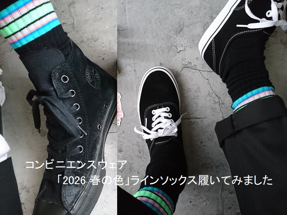 【ファミマ】「2026 春の色」履いてみた【ラインソックス】